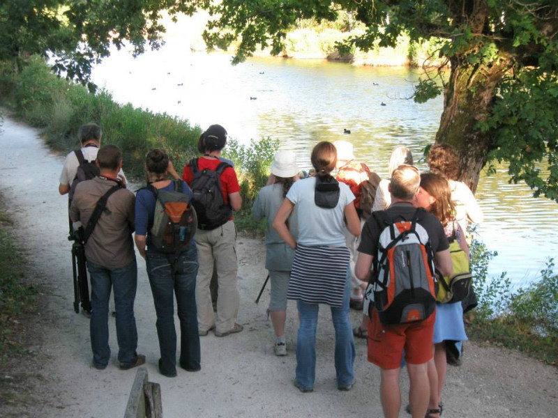 Les visiteurs d’Eté