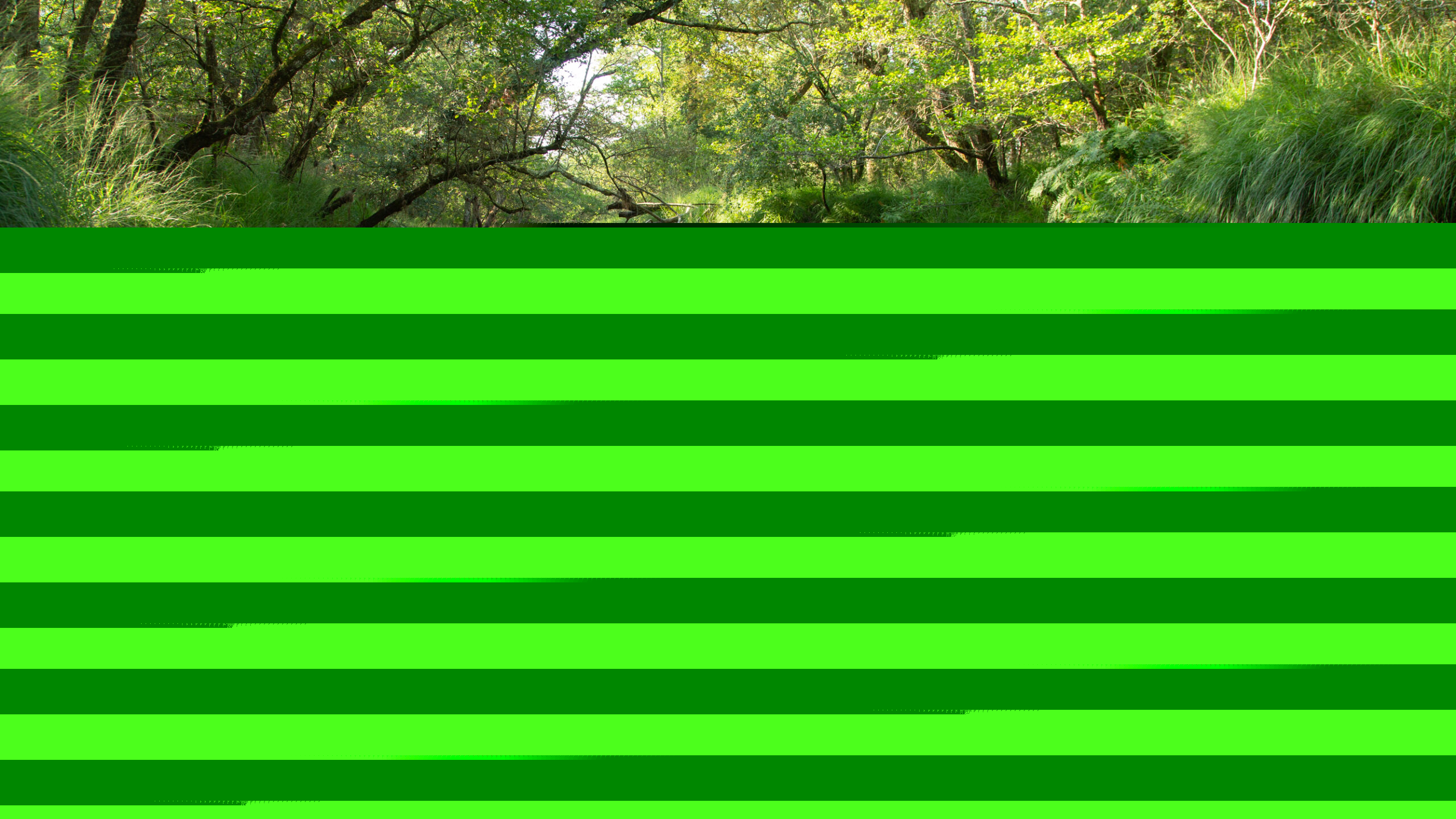 Balade découverte au bord de la Leyre