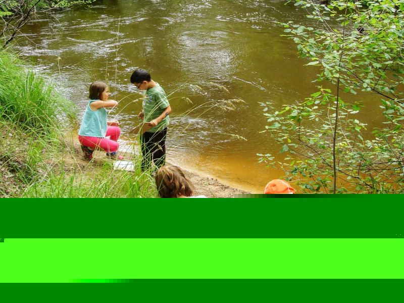 Atelier du petit naturaliste