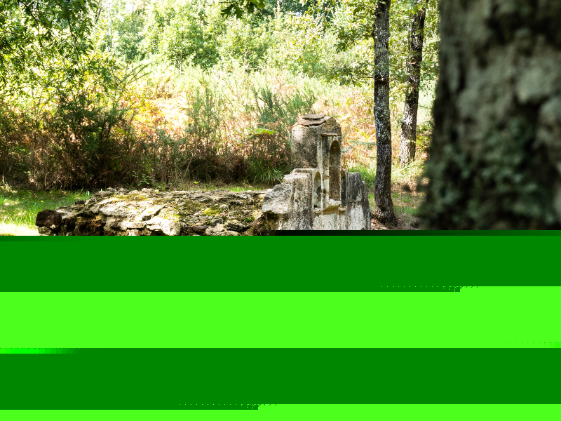 A pas perdus sur les rives de la Leyre