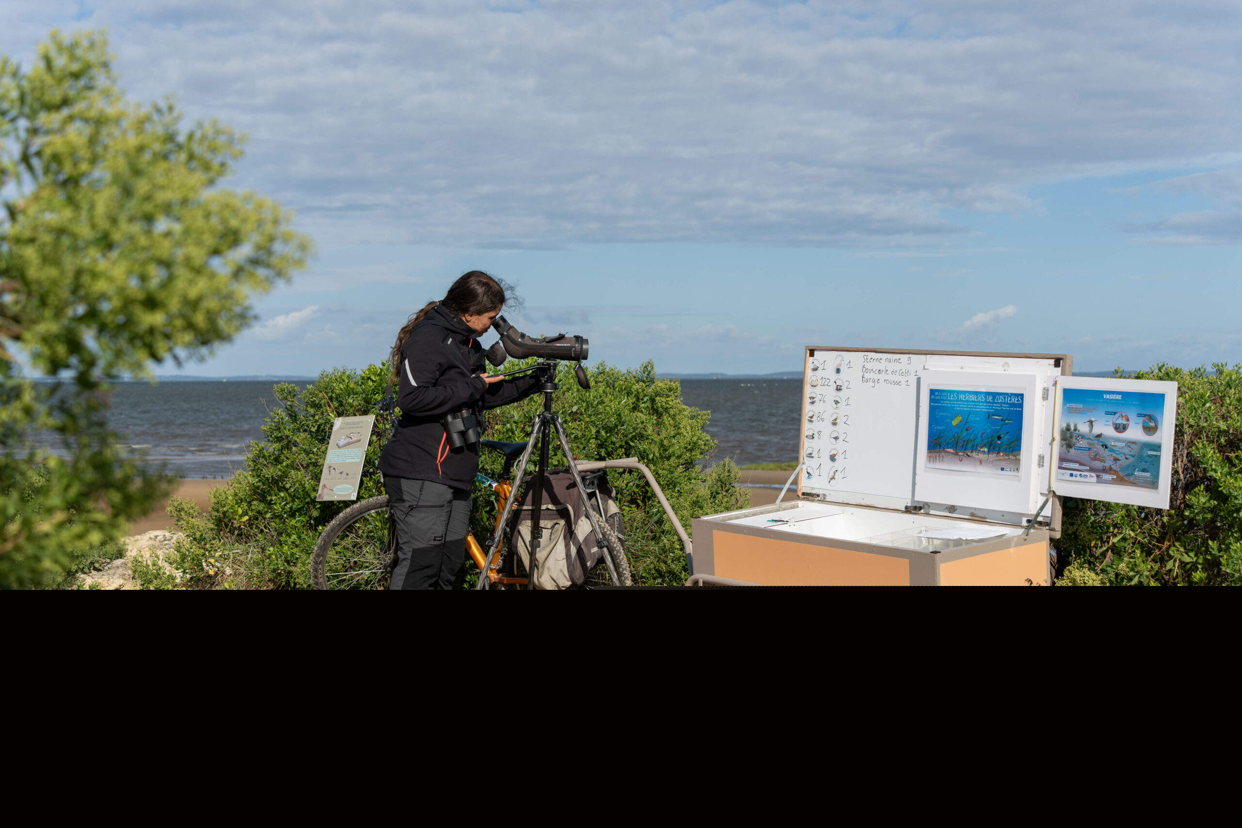 Accueil naturaliste sur le sentier du littoral à la Pointe du Teich