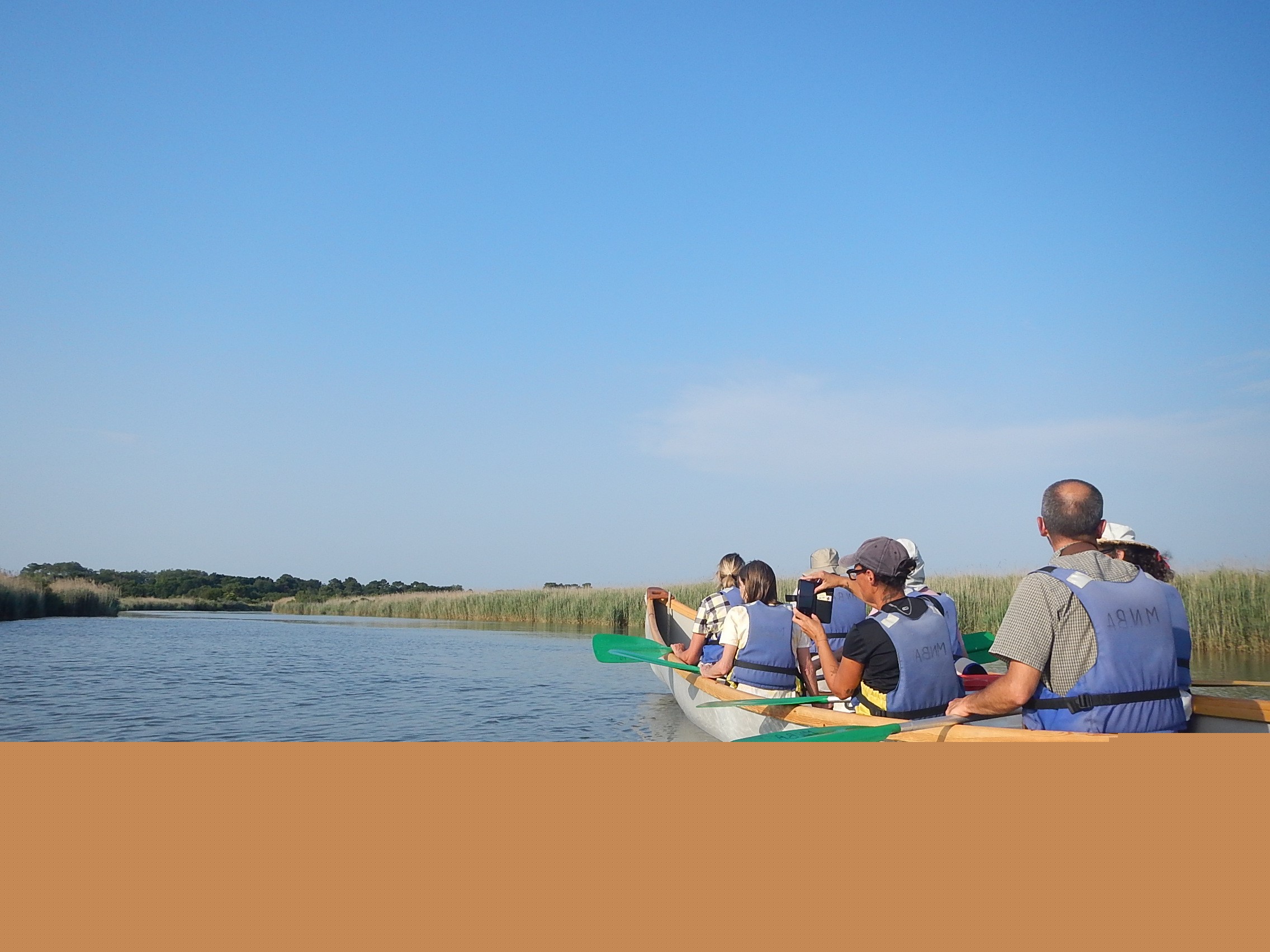 Visite libre de la réserve ornithologique et canoë collectif