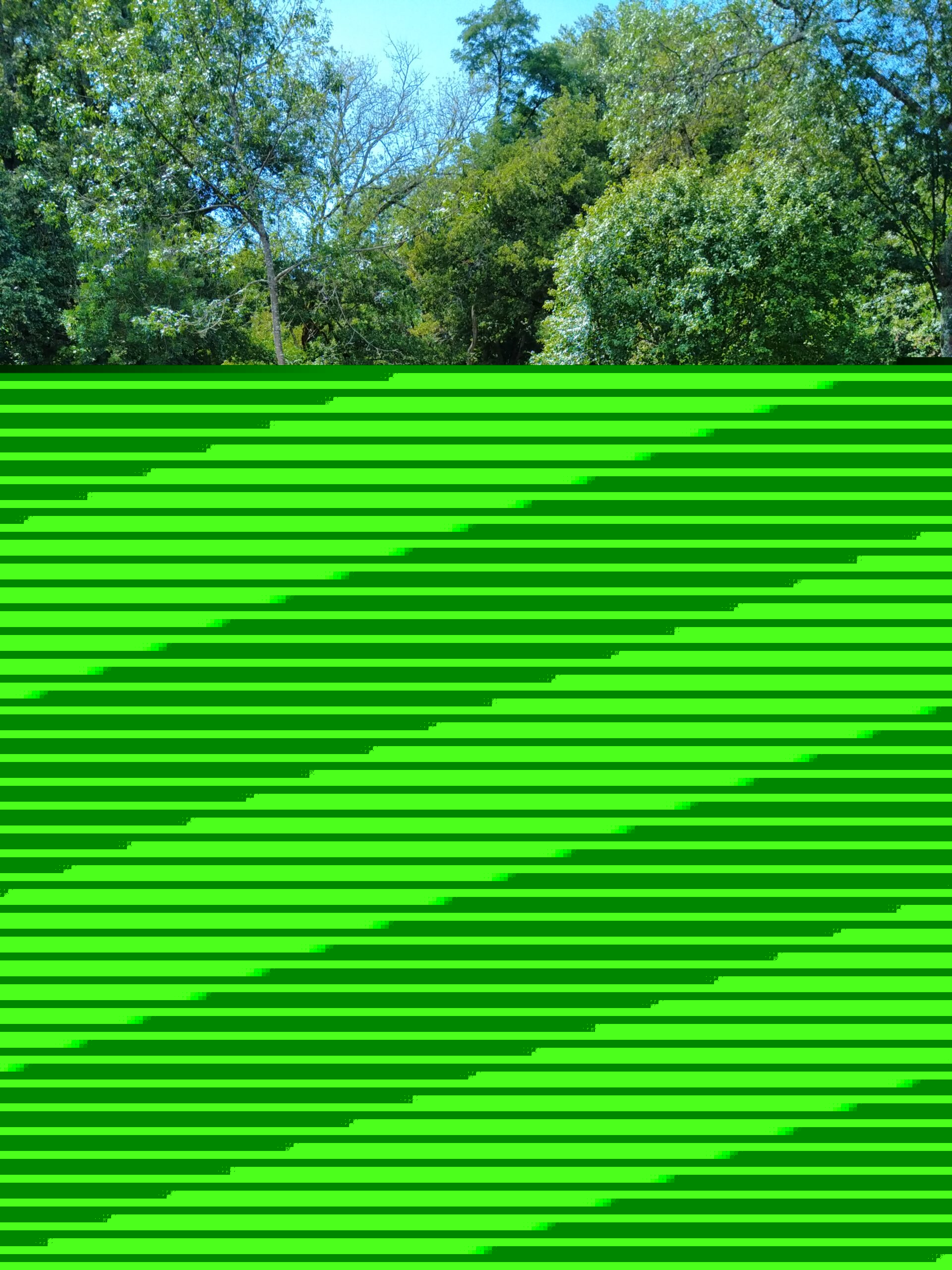 Découverte du canoë traditionnel deux places