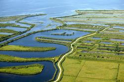 marche allure normale