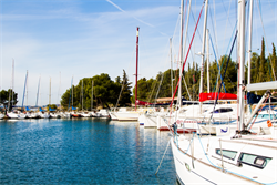 marche allure normale