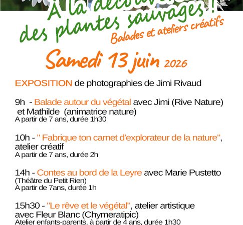 A la découverte des plantes sauvages – Samedi 13 juin 🌿